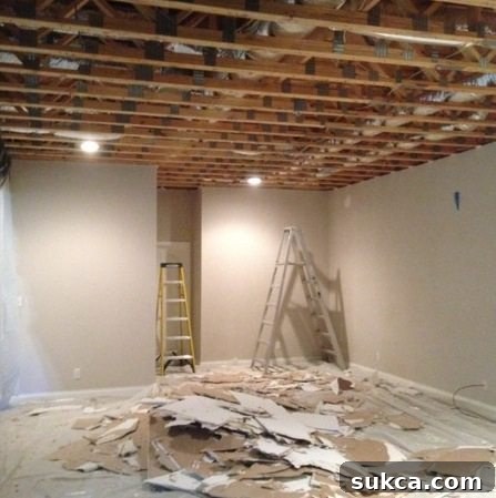 featured 15662