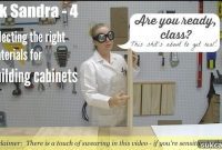 Ask Sandra Choosing the Right Materials for Your Cabinets