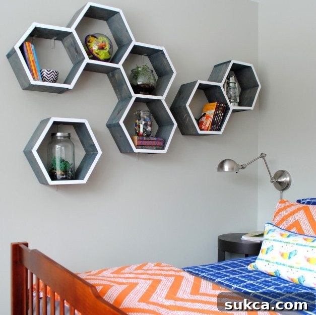 featured 2644