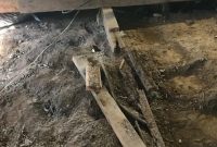 The Termite Undermining: Demo Days Part Three