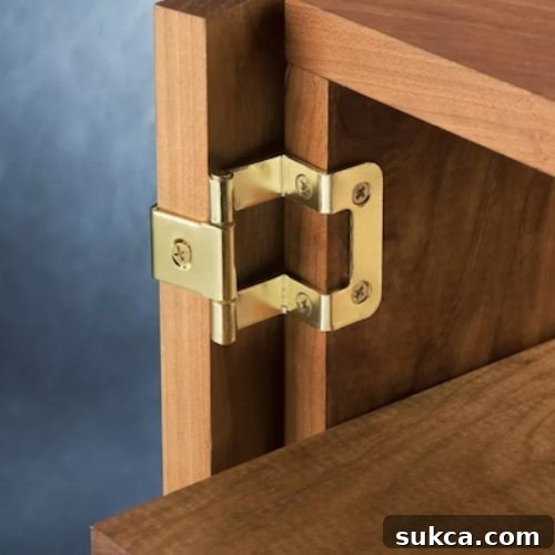 Overlay hinge for frameless cabinet