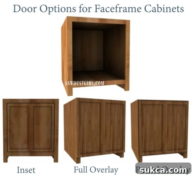 Door options for faceframe cabinets