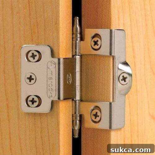 wrap around hinge