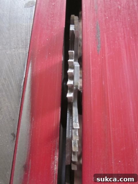 Setting up a dado blade for cabinet door panel grooves