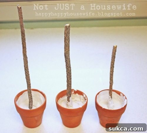 Anchoring Topiary Stems with Plaster Mixing plaster of paris directly into a small pot and inserting a natural stick, showing the process of anchoring the topiary stem.