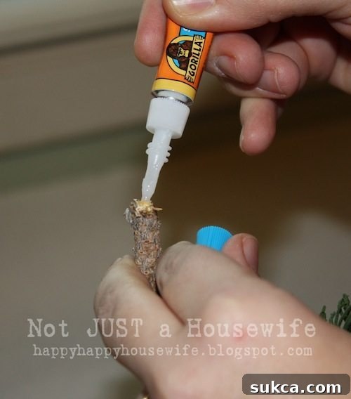 Attaching Branches with Glue Hand applying glue into a pre-drilled hole on a wooden stick before inserting a faux pine branch for topiary assembly.