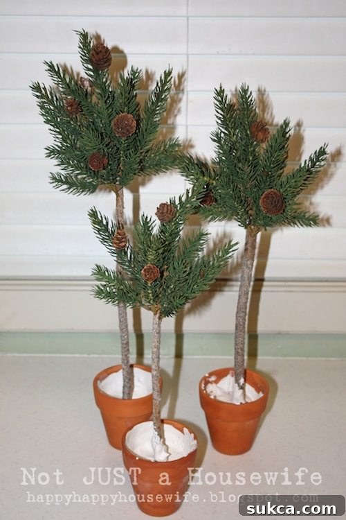 Topiaries Fully Assembled: Ready for Finishing Touches Three fully assembled DIY pine tree topiaries in different heights, without their decorative bases, showcasing the final branch arrangement.