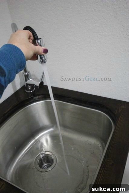 Close up of pullout spray faucet feature for dog washing