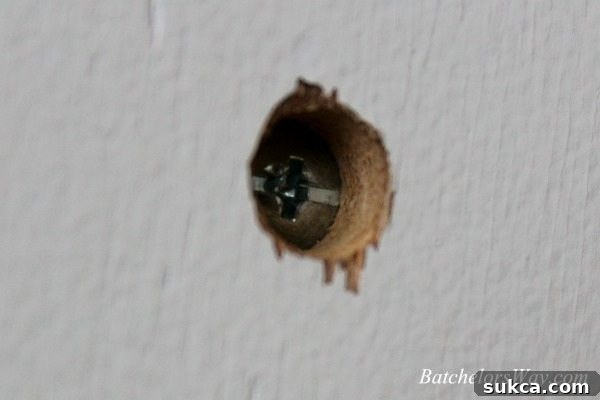Close-up of a countersunk screw, showing how the head sits flush within the wood