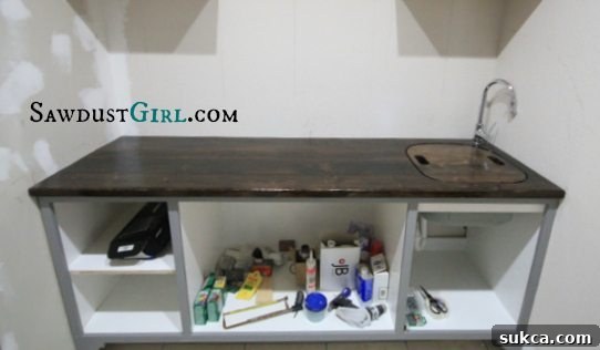 Countertop Sink Insert