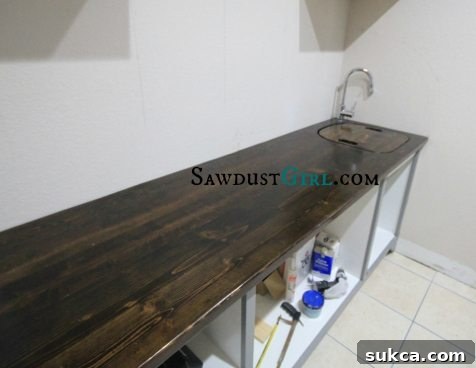 Countertop Sink Insert