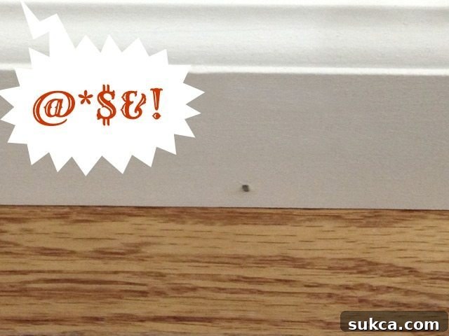 Protruding nail head requiring a nail set for a flush finish