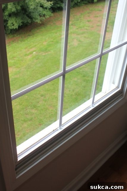 Sparkling clean window view how to keep windows clean longer