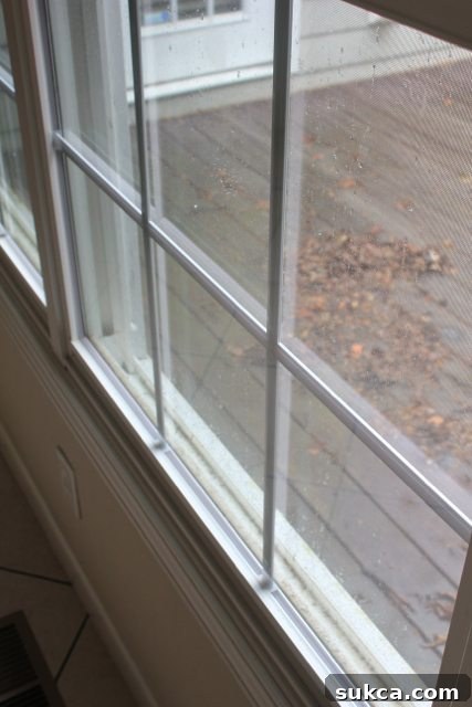 Clean window without screen how to keep windows clean longer