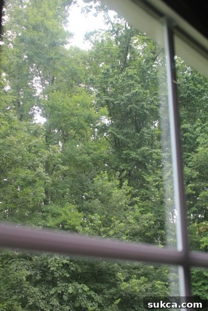 Comparison of clean vs. dirty window how to keep windows clean longer