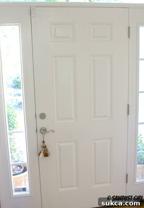 front door weather stripping complete