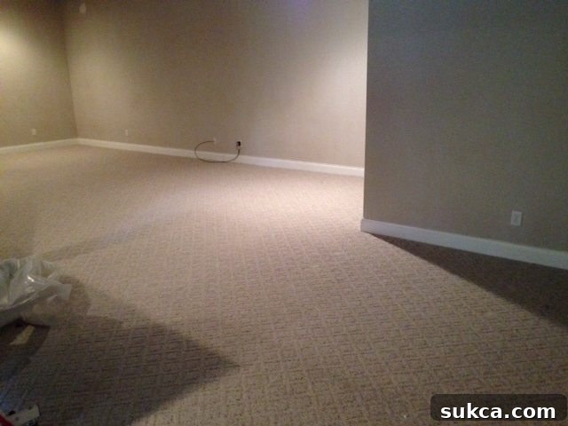 cleaned out basement