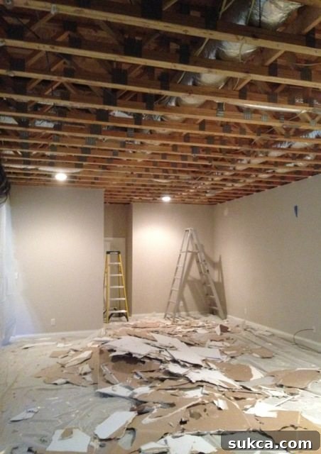 basement-ceiling-demo