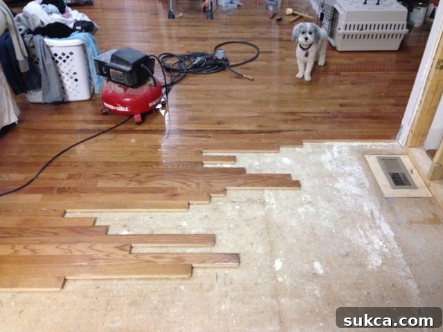 Extensive Subfloor Infilling Where Old Bookcase and Air Return Were Located
