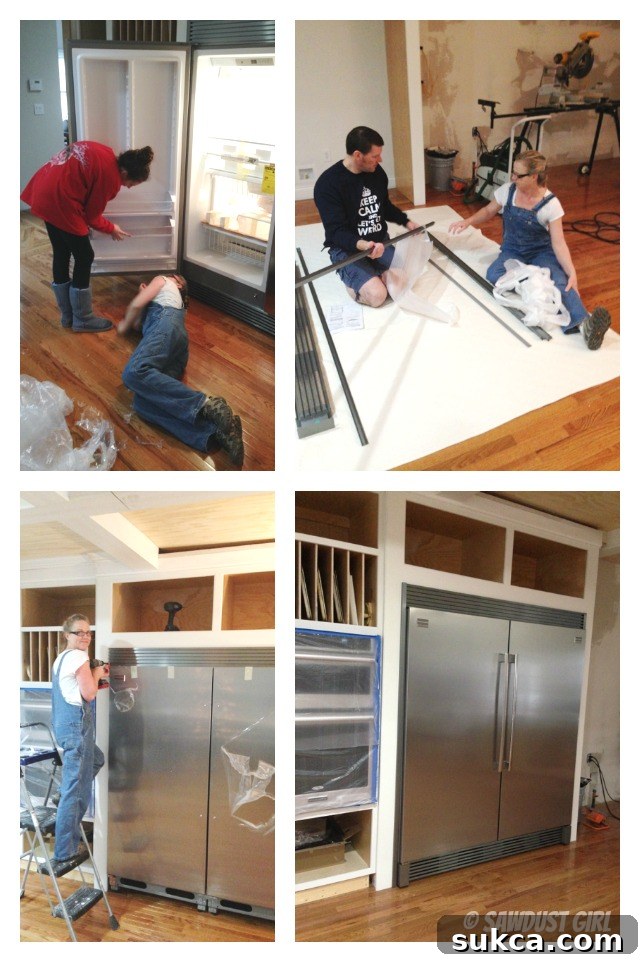 Spacious Fridge and Freezer Interior Interior view of spacious new fridge and freezer