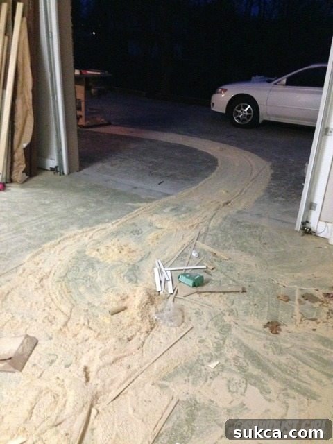 My Breath, My Own 4 new table saw needed
