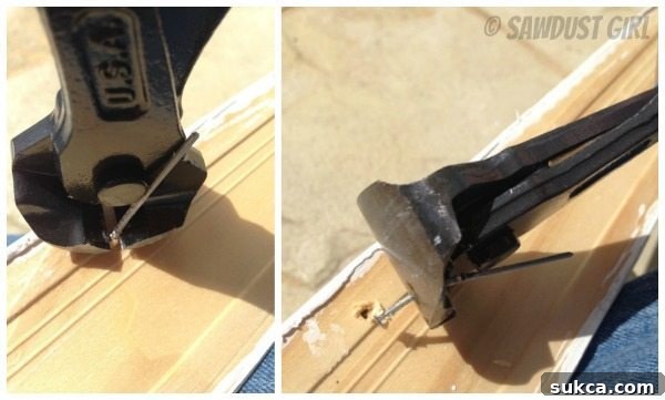 How to effectively remove nails using specialized pliers and the fulcrum principle