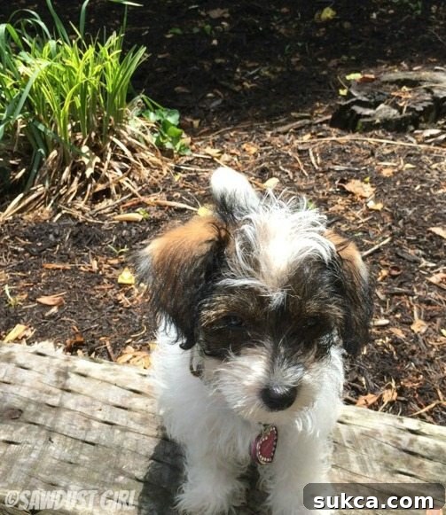 bella girl looking playful
