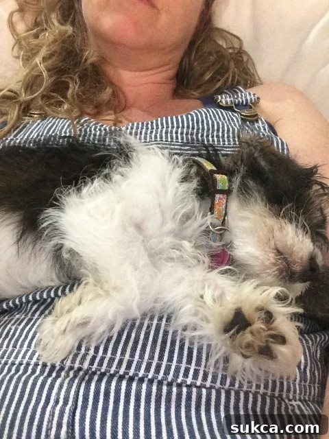 author taking a nap with bella