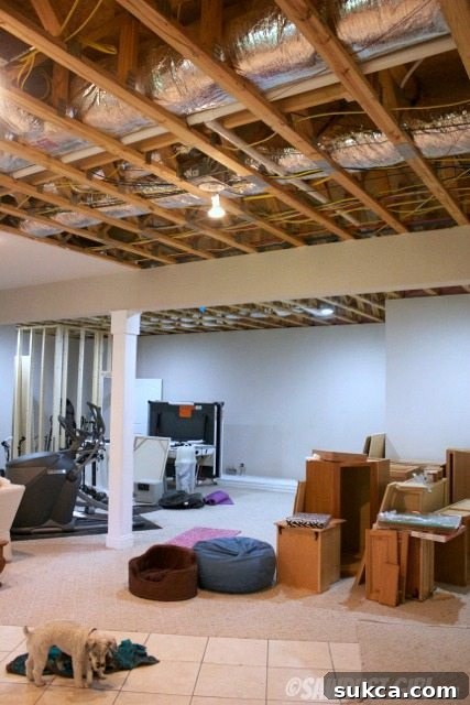 basement renovation progress, showing exposed ceiling utilities and structural elements