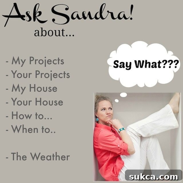 Ask Sandra YouTube Adventures 4 Ask Sandra final