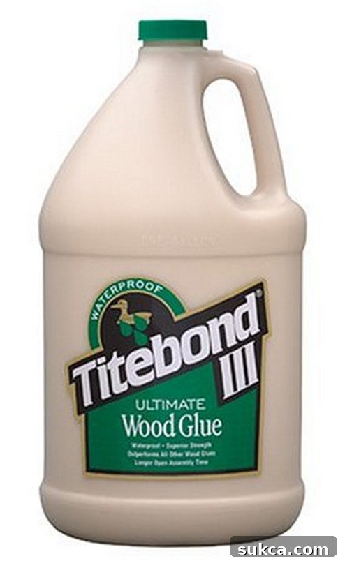 Fun and Inexpensive Gift ideas for DIY'ers - Wood Glue Gallon