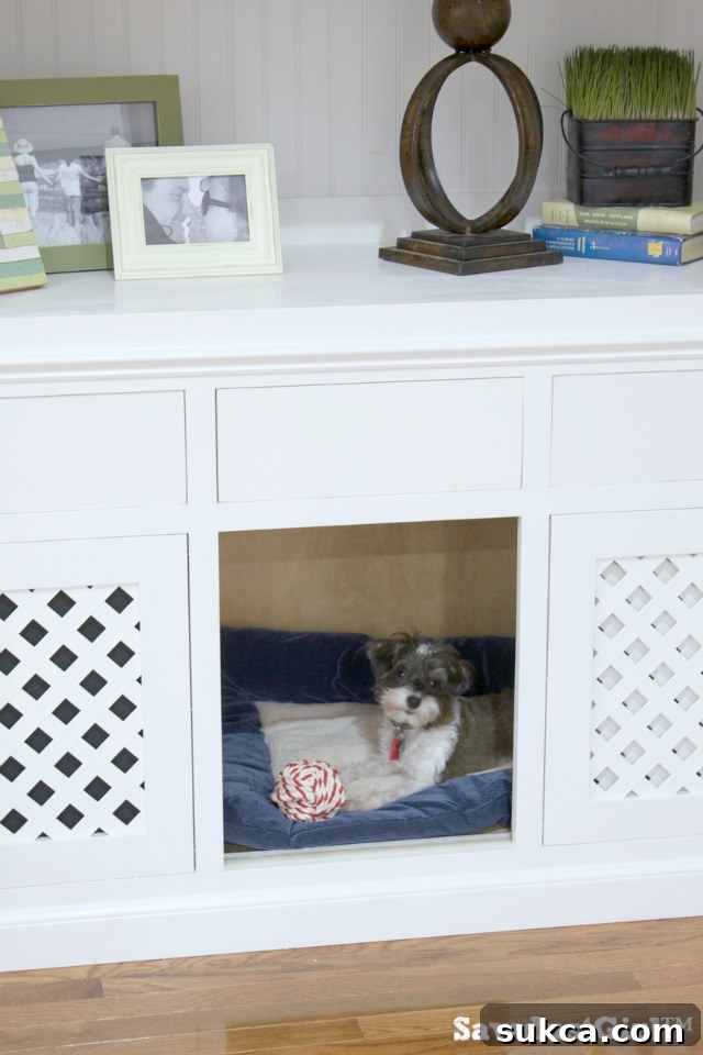 Finished built-in dog crate with sliding door, showcasing integrated pet furniture