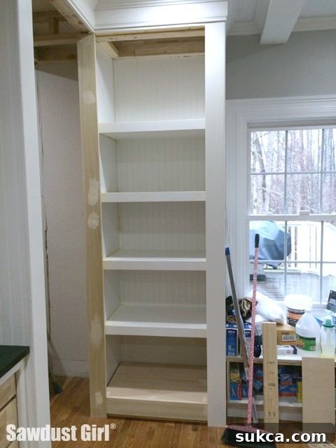 Display cabinet in progress with a new faceframe and interior shelving