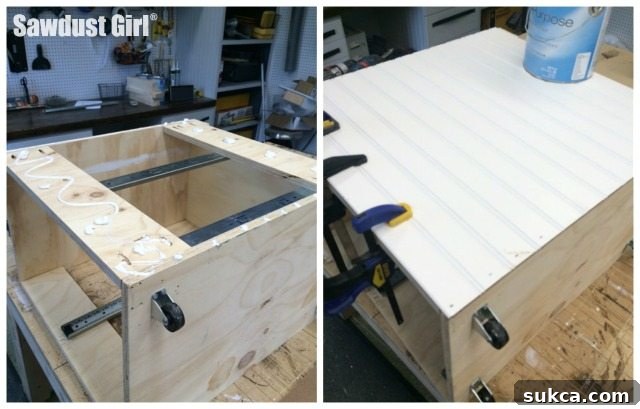The Ultimate Space-Saving DIY Corner Cabinet 22 Preventing Obstructions in Roll-Over Cabinet with Side Guards