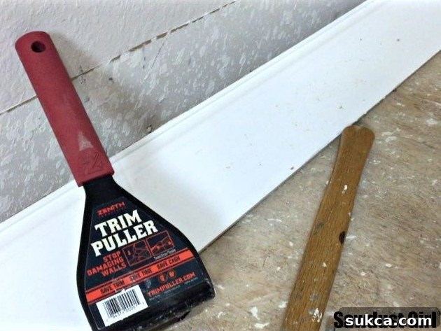 The Essential Trim Puller Tool Trim Puller