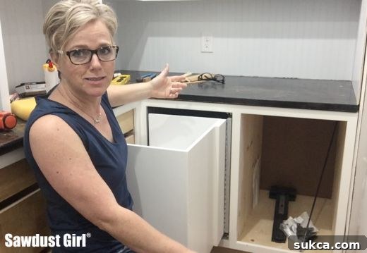 Blind Corner Cabinet Redesign: Deconstructing the Old System for Improvement