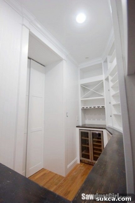Hidden entrance to walk-in pantry, with custom pocket doors fully open, revealing the interior.