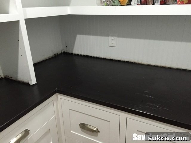 Refinishing a wood countertop - Ready to start poly again