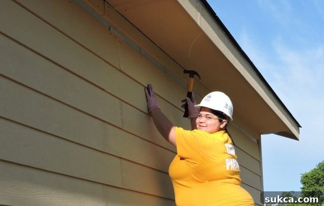 Shelby's Lowe's/Habitat House - Progress Update