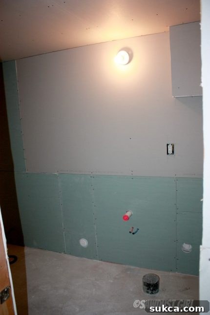 Andrea's Bathroom - before