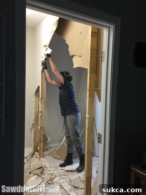 Madison's closet demolition project