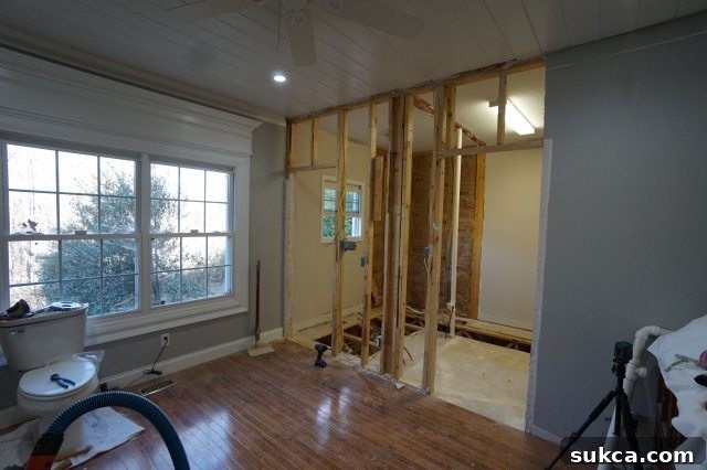 Bathroom Demolition in Progress