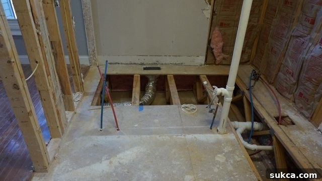 Future Bathroom Space After Demolition
