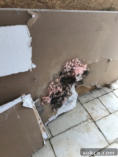 Confirming Vent Stack Leak Testing for roof leak around vent stack, showing water dripping onto the new subfloor