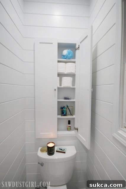 In wall toilet paper cabinet - doors closed
