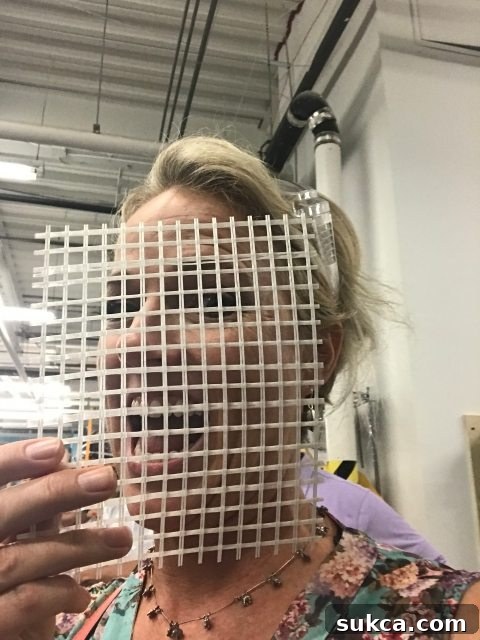 Fiberglass mesh in Hi-Impact XP Drywall