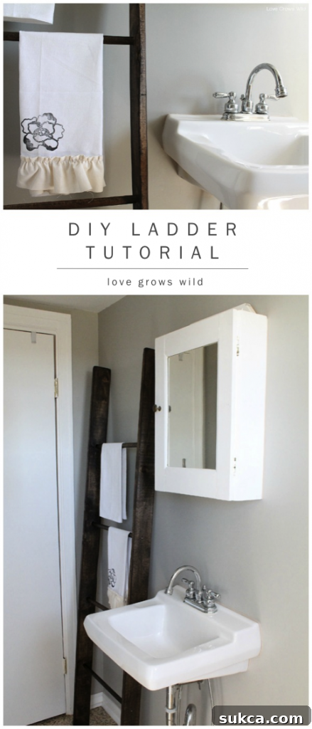 Rustic Ladder Towel Holder Inspiration Stylish DIY Ladder for Towel Storage
