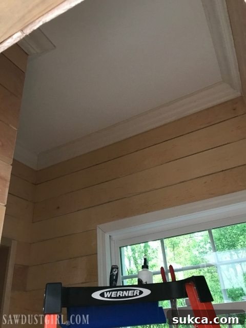 Plywood plank walls with crown molding