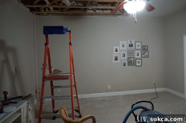 Sewer Saga Update: Plumber's Second Visit