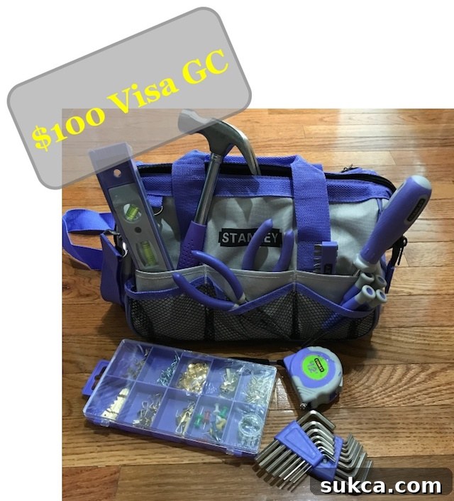 Giveaway: Purple tool bag and Visa gift card